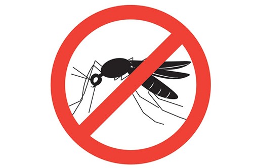 Cách phòng chống muỗi đốt – Tác hại của muỗi gây ra